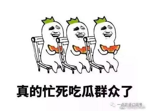 吃瓜群众的英文翻译